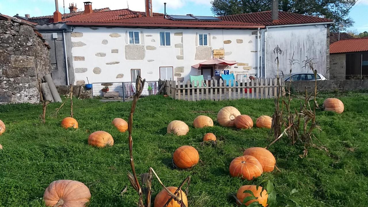 Albergue A Casina Di Marcello Palas de Rei Bagian luar foto